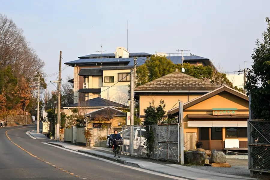 Houses along a quiet residential road in Japan